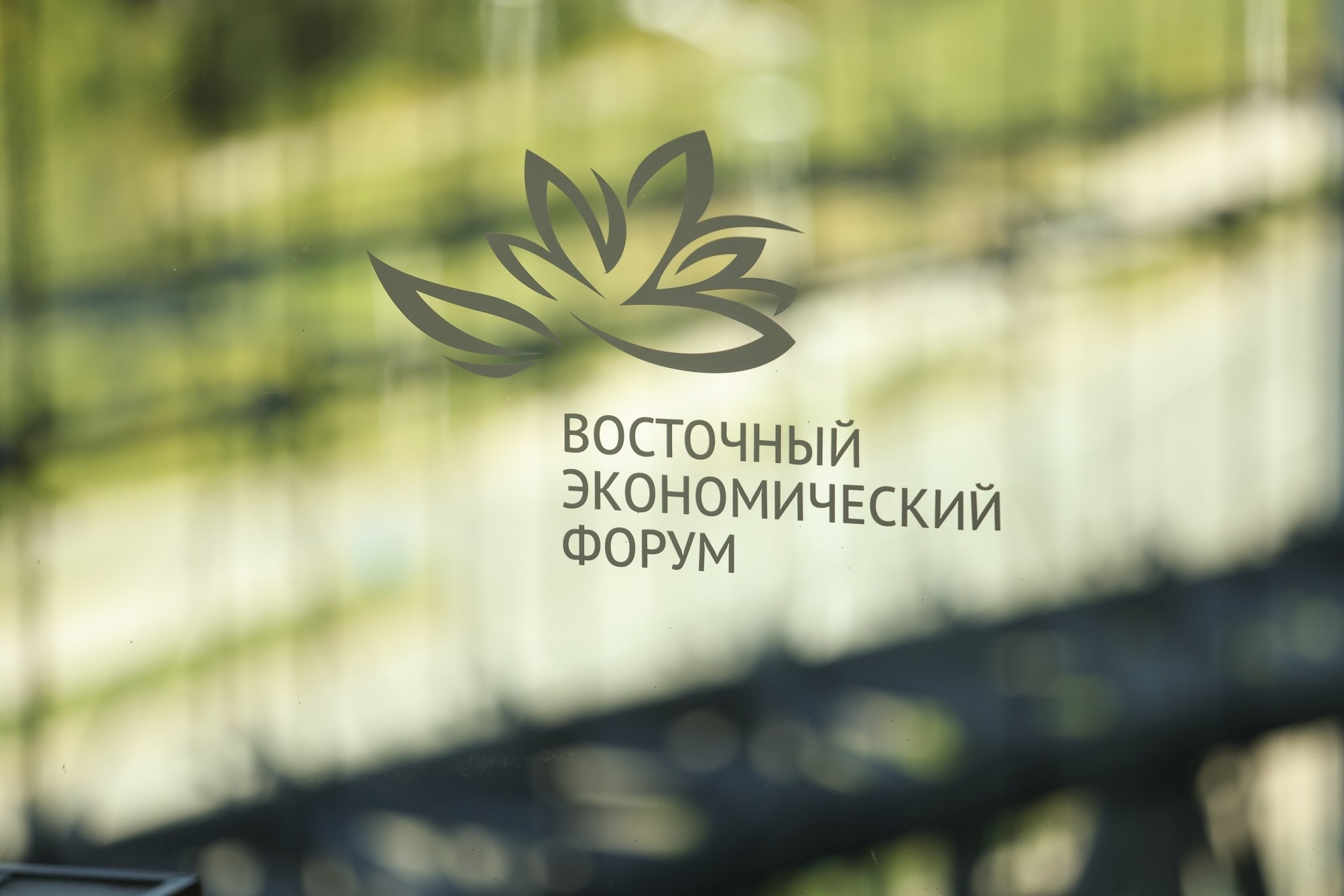 ВЭФ предоставлено пресс-службой Фонда &quotРосконгресс&quot