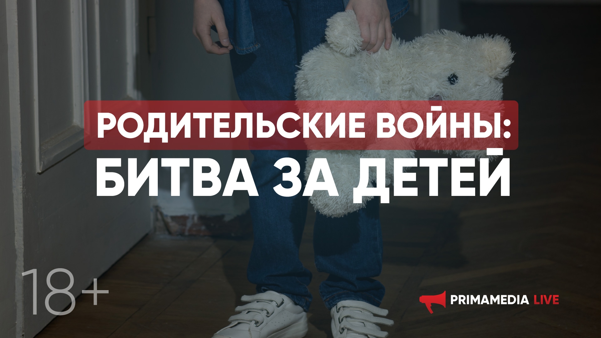 Родительские войны: битва за детей в суде (18+)